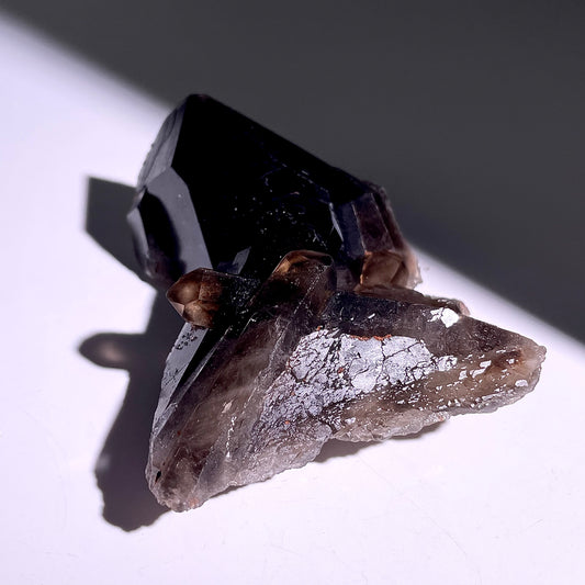 A262◇1点物◇モリオン クラスター◇105×71×31mm◇天然石・鉱物・パワーストーン