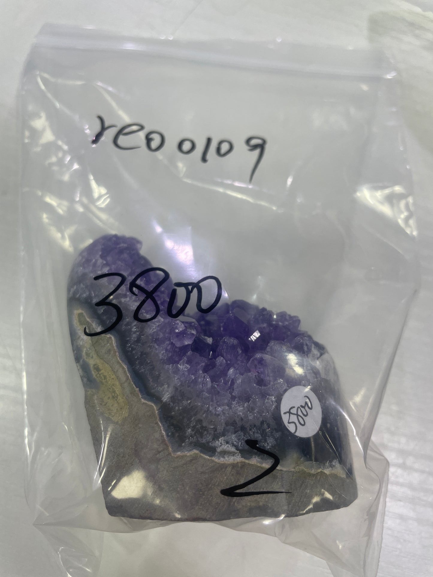 54-reo 0109様