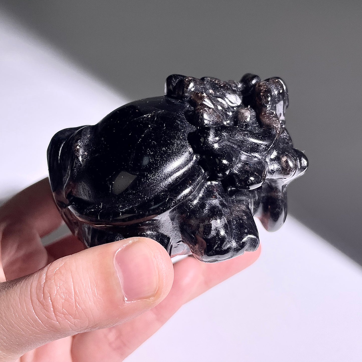 B401◇１点物◇モリオン  竜亀◇78×72×48mm◇天然石・鉱物・パワーストーン