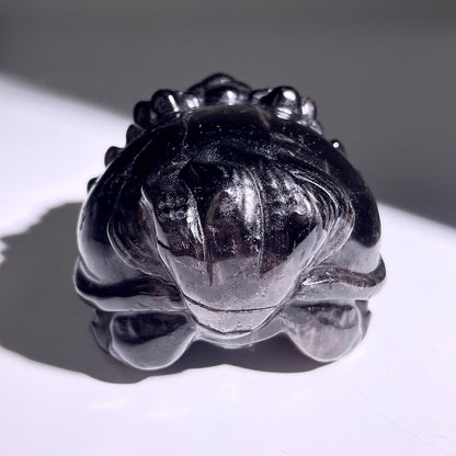 B402◇１点物◇モリオン  竜亀◇80×69×47mm◇天然石・鉱物・パワーストーン