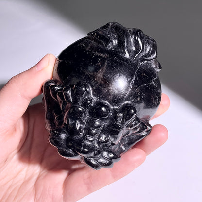 B402◇１点物◇モリオン  竜亀◇80×69×47mm◇天然石・鉱物・パワーストーン