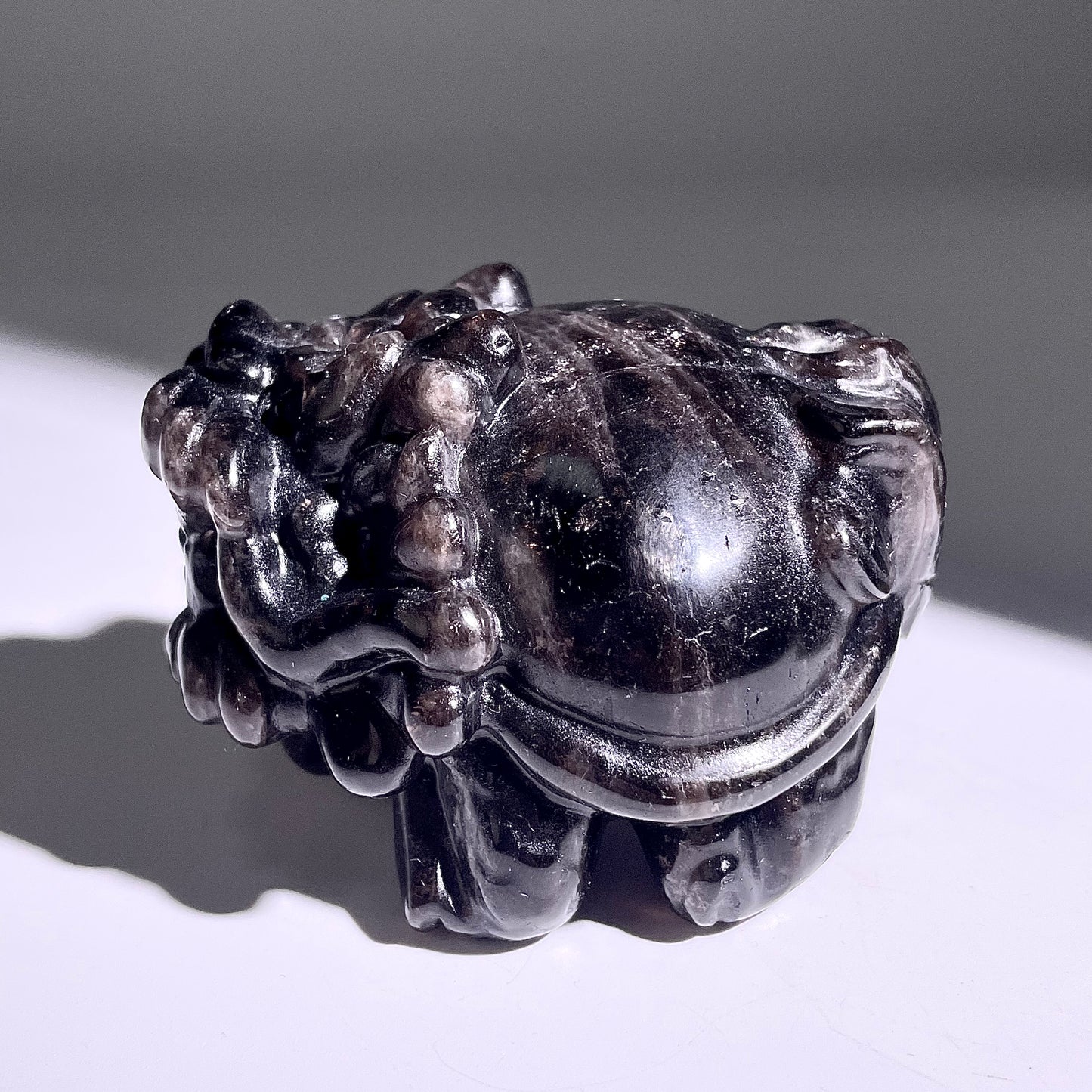 B409◇１点物◇モリオン  竜亀◇73×66×48mm◇天然石・鉱物・パワーストーン