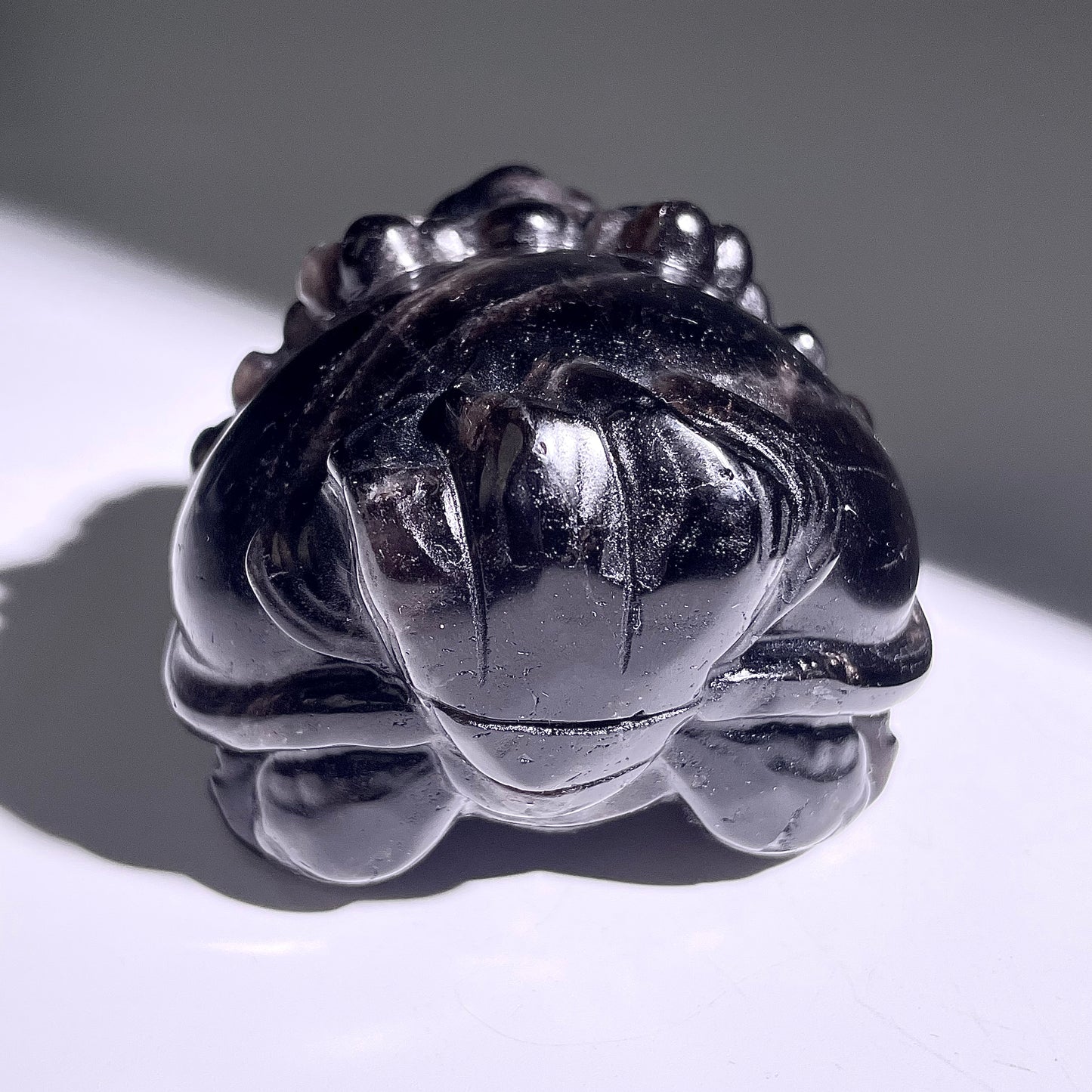 B409◇１点物◇モリオン  竜亀◇73×66×48mm◇天然石・鉱物・パワーストーン