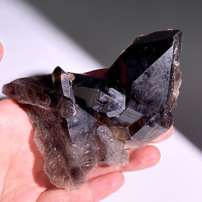 A262◇１点物◇モリオン  クラスター◇105×71×31mm◇天然石・鉱物・パワーストーン