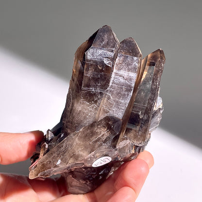 A267◇１点物◇モリオン  クラスター◇125×70×61mm◇天然石・鉱物・パワーストーン