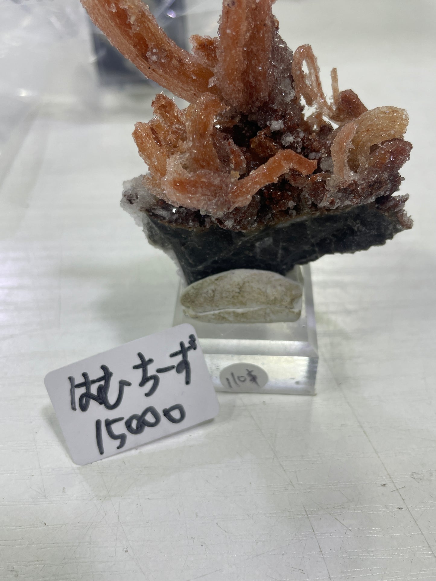 27-はむ＆ちーず様