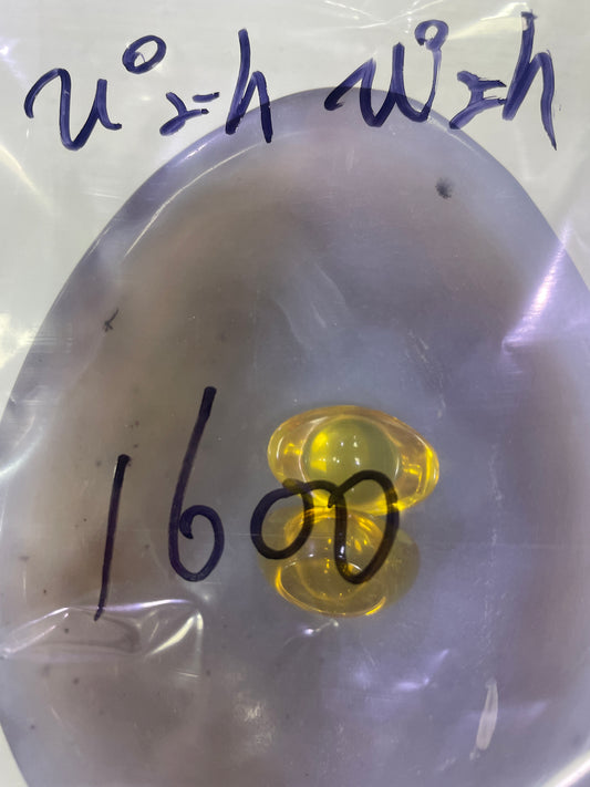 38-ぴょんぴょん様