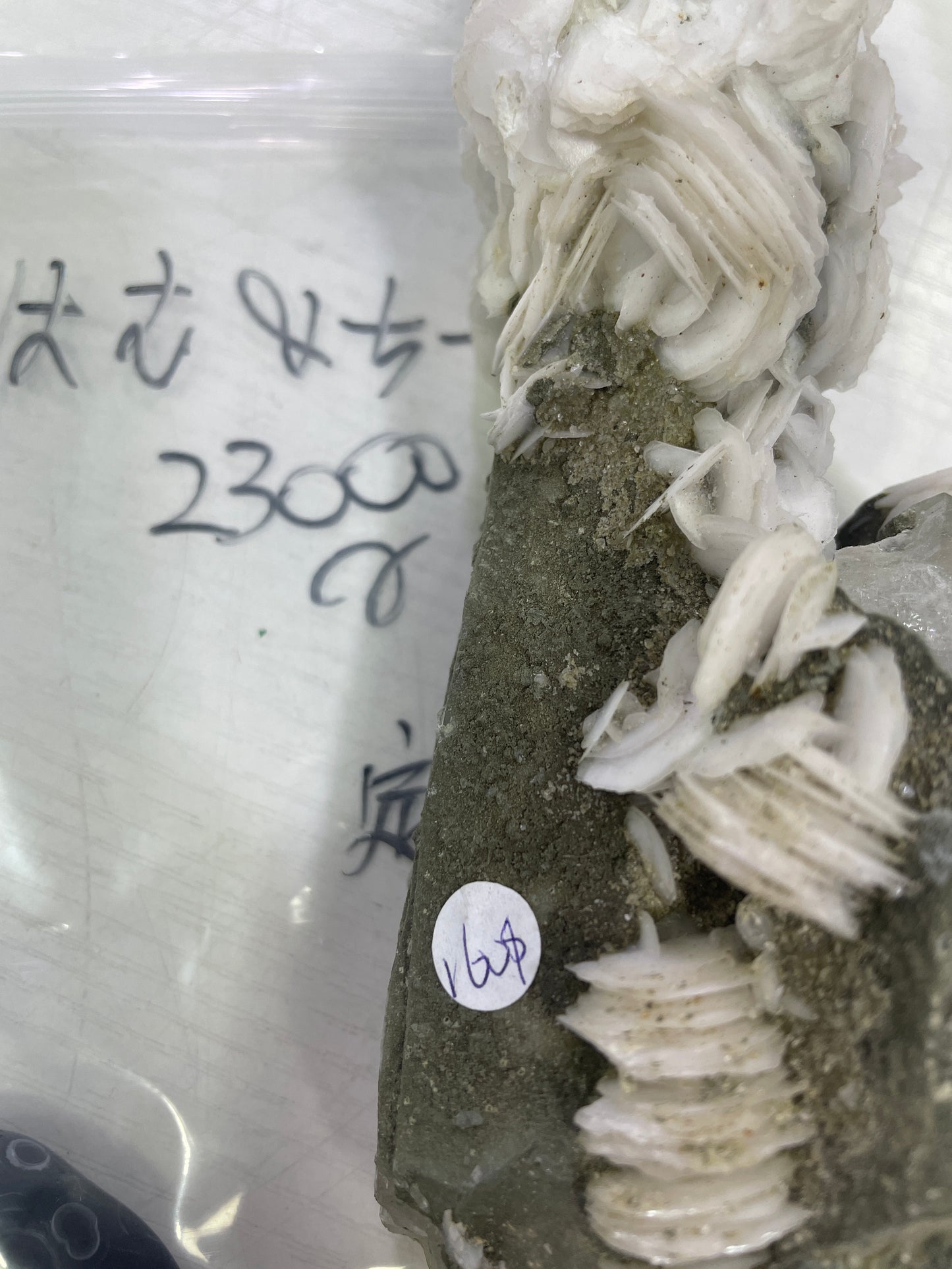 27-はむ＆ちーず様