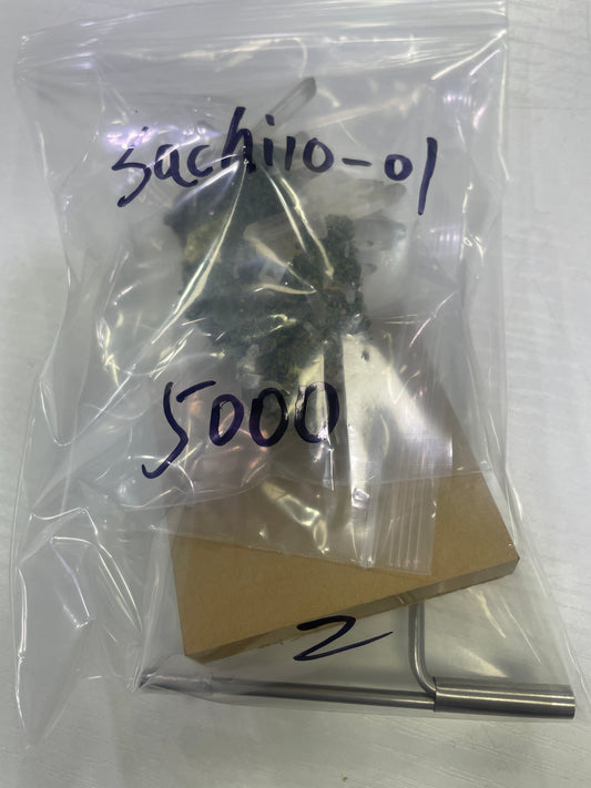 10-sachi10-01様